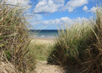 dunes on Farne Island