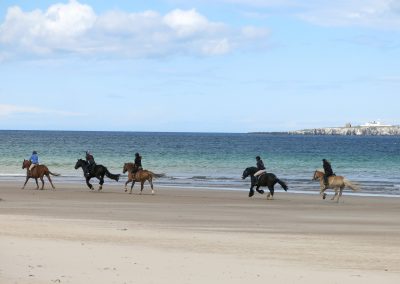 Beach Horse Riding
