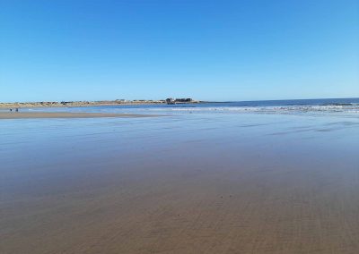 Beachcomber beach in Northumberland 3