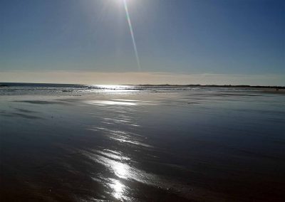 evening walk on the beach Beachcombers Northumberland